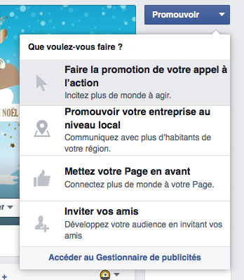 page-fan-facebook15