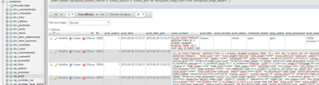 Wordpress (en haut à gauche) est le nom de la base de données, wp_posts est la table sélectionnée, et le gros texte immonde est le contenu d'une page contenu dans la colonne post_content 