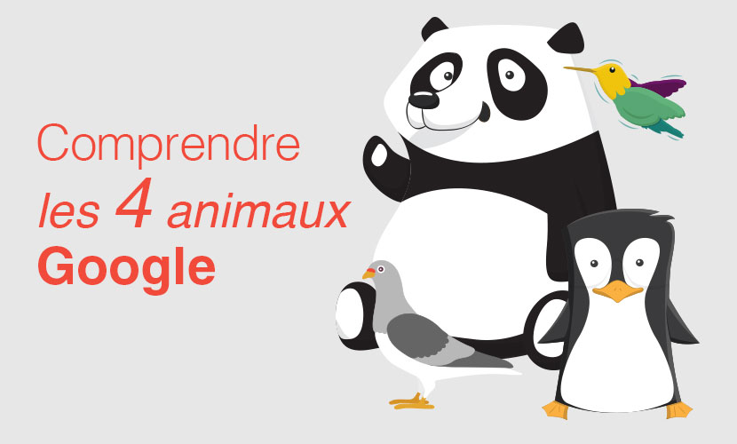 comprendre-les-4-animaux-google