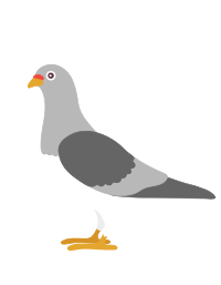 comprendre-google-pigeon