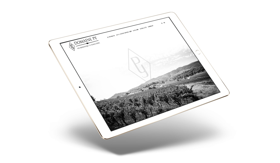site-domaine-py